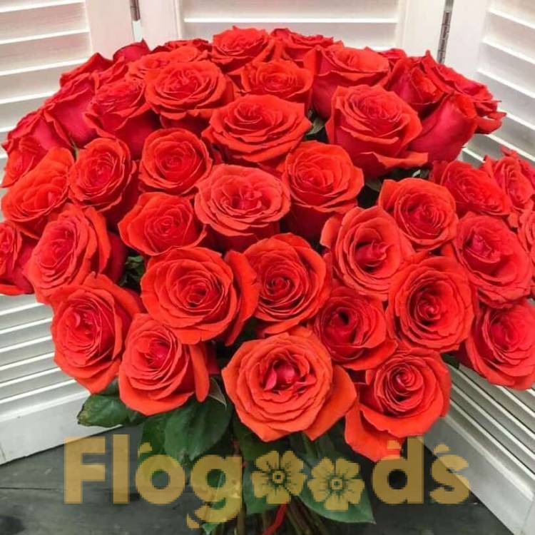 51 красная роза за 19 568 руб.